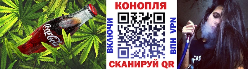 Canna-Cookies марихуана Новотитаровская