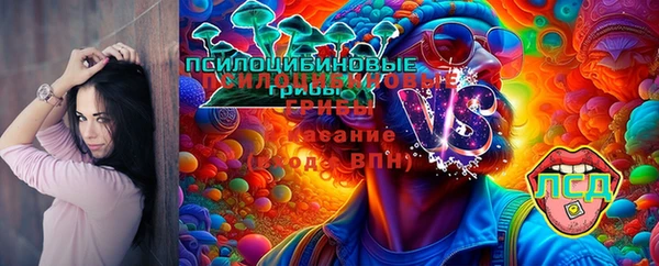 винт Абаза