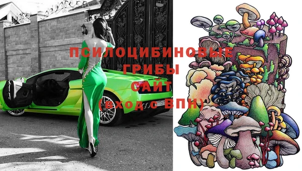 дурь Абдулино
