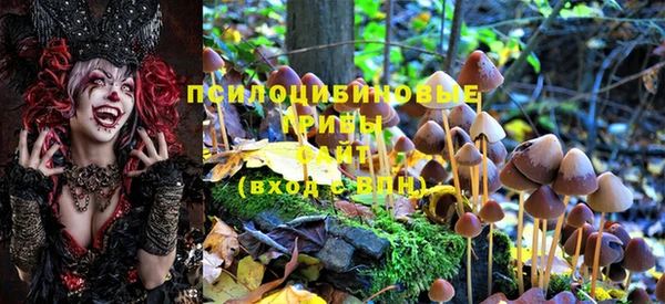 винт Абаза