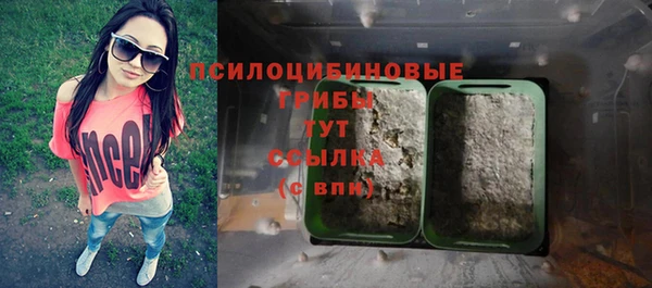 стаф Алзамай