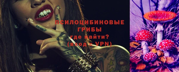 стаф Алзамай